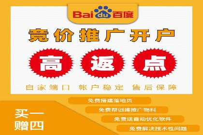 案例解读：SEM代理助力电商销量翻倍